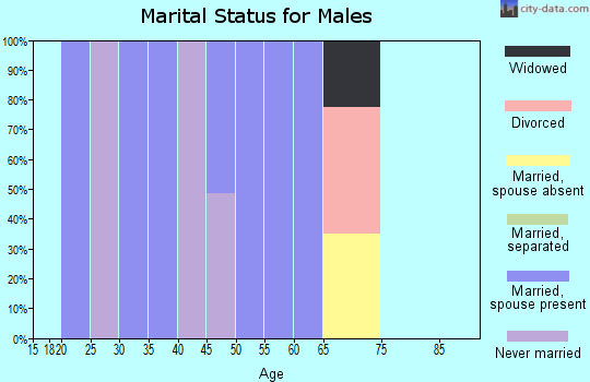 Zip code 31550 marital status for males