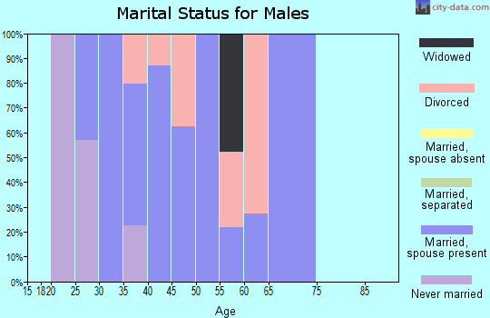 Zip code 31551 marital status for males