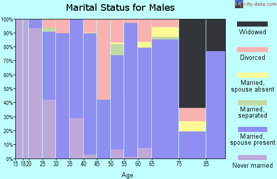 Zip code 31553 marital status for males