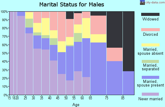 Zip code 31554 marital status for males