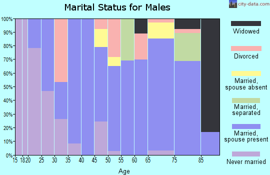 Zip code 31555 marital status for males
