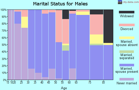 Zip code 31557 marital status for males