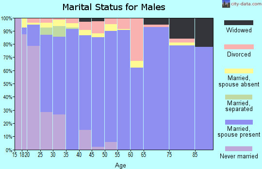 Zip code 31558 marital status for males