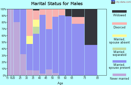 Zip code 31560 marital status for males