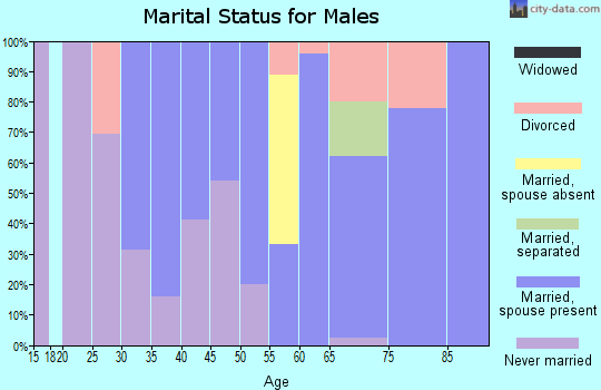 Zip code 31563 marital status for males