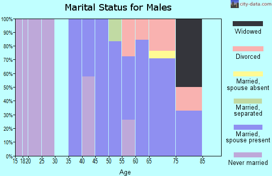Zip code 31565 marital status for males