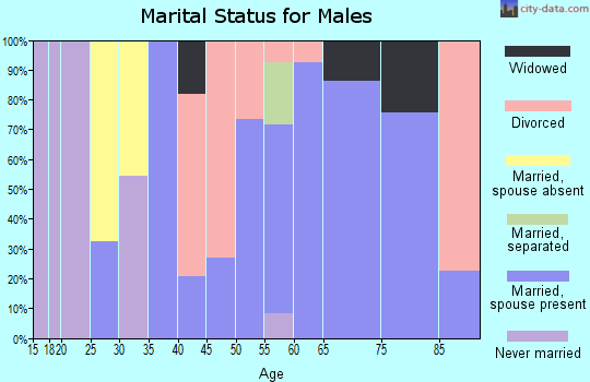 Zip code 31566 marital status for males