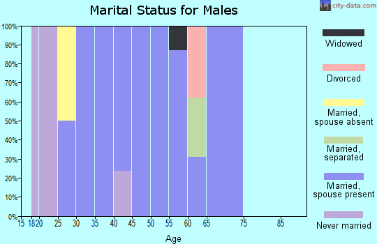 Zip code 31567 marital status for males