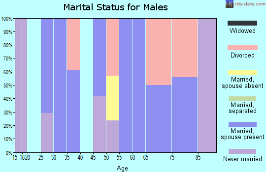 Zip code 31568 marital status for males