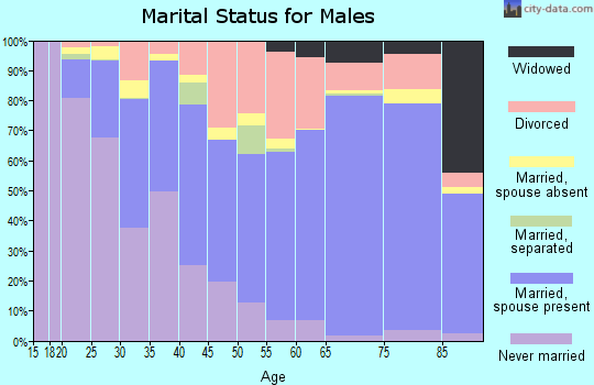 Zip code 31602 marital status for males