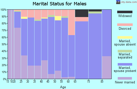 Zip code 31605 marital status for males