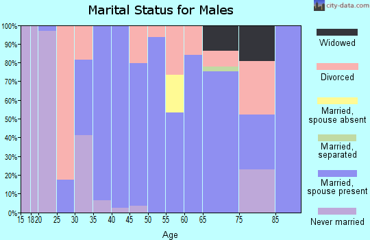 Zip code 31606 marital status for males