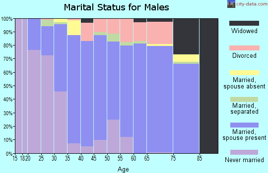 Zip code 31620 marital status for males