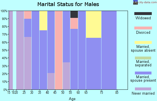 Zip code 31624 marital status for males