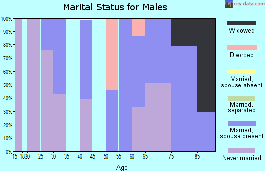 Zip code 31625 marital status for males