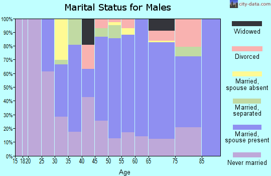 Zip code 31626 marital status for males