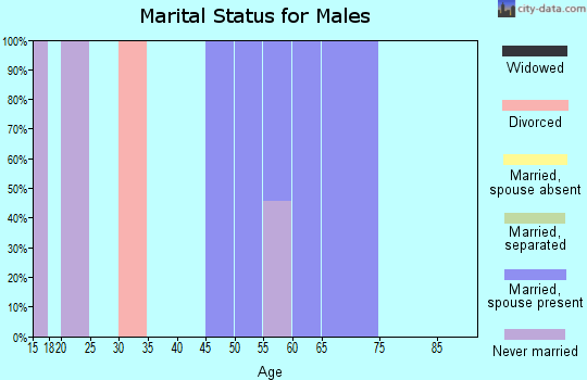 Zip code 31627 marital status for males