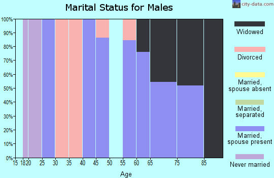 Zip code 31629 marital status for males