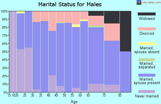 Zip code 31632 marital status for males