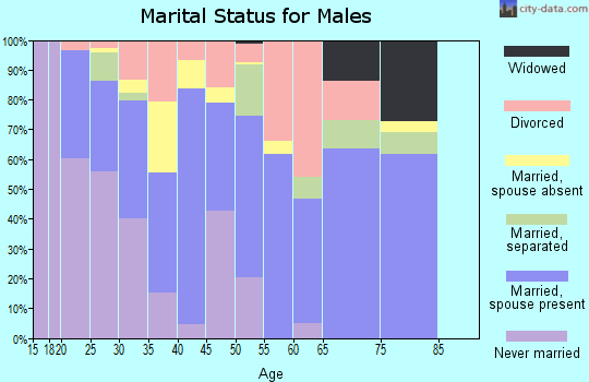 Zip code 31635 marital status for males