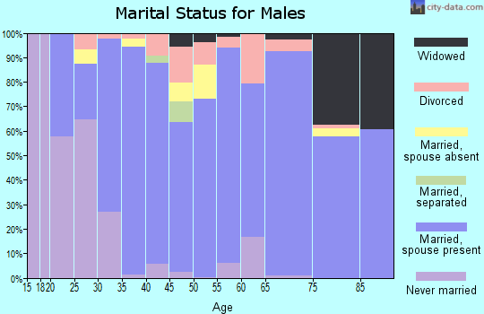 Zip code 31636 marital status for males