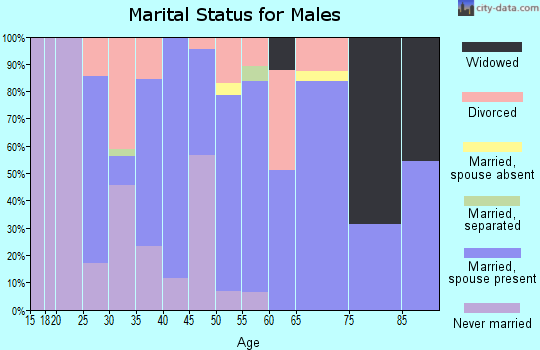 Zip code 31637 marital status for males