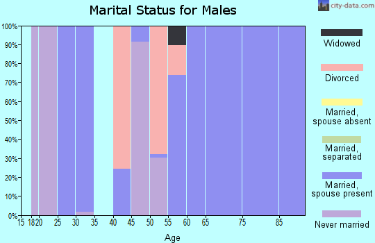 Zip code 31638 marital status for males