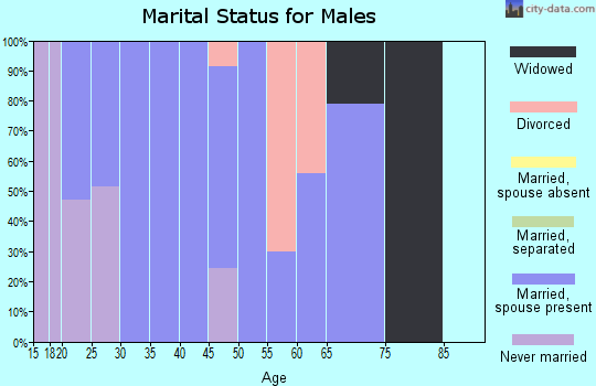 Zip code 31641 marital status for males