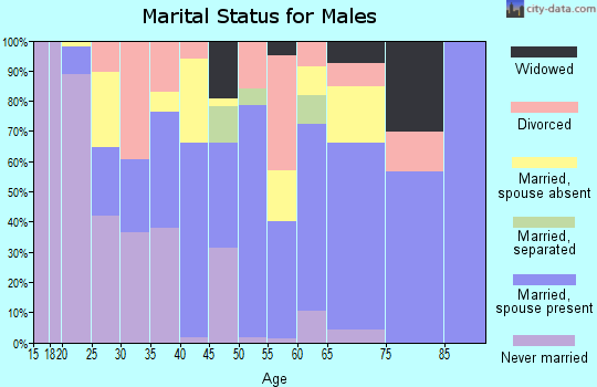 Zip code 31642 marital status for males