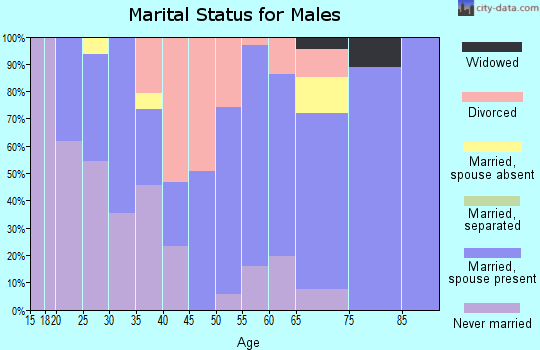 Zip code 31647 marital status for males