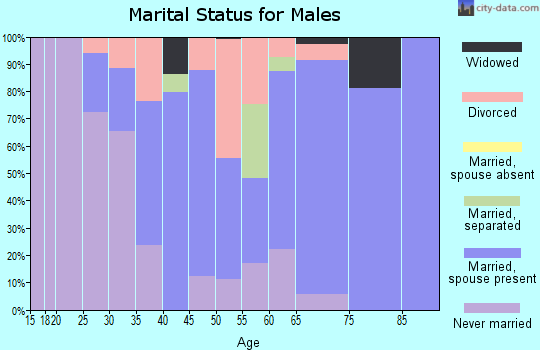 Zip code 31650 marital status for males