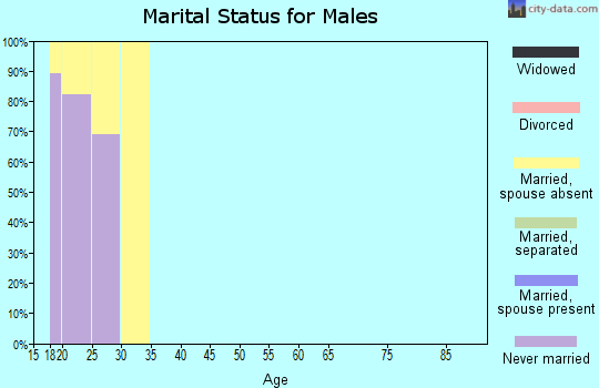 Zip code 31699 marital status for males
