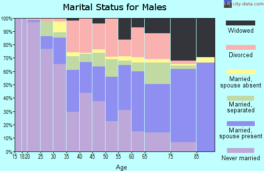 Zip code 31701 marital status