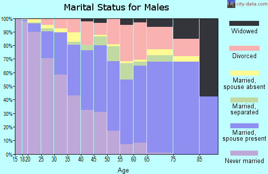 Zip code 31705 marital status for males