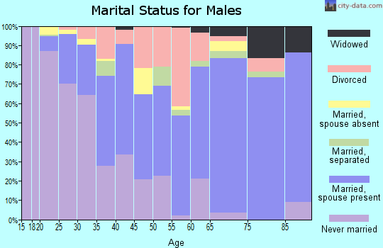 Zip code 31707 marital status for males