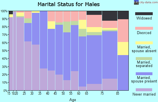 Zip code 31709 marital status for males
