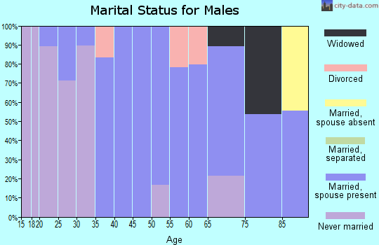 Zip code 31712 marital status for males