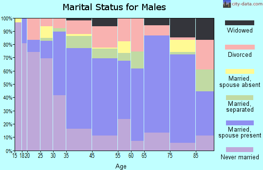 Zip code 31713 marital status for males