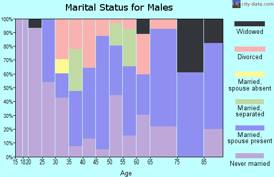 Zip code 31714 marital status for males