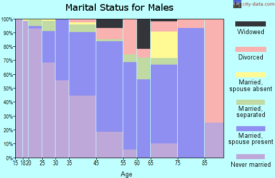Zip code 31715 marital status for males