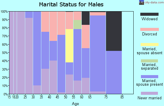Zip code 31716 marital status for males