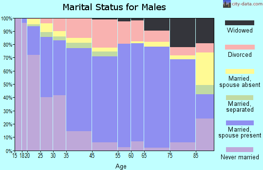 Zip code 31717 marital status for males