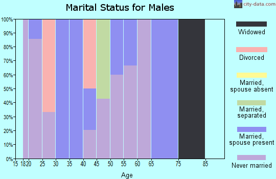 Zip code 31720 marital status for males