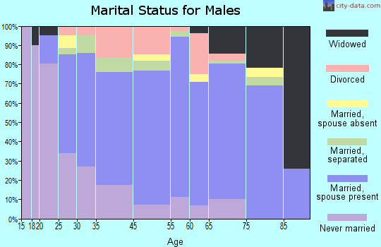 Zip code 31723 marital status for males