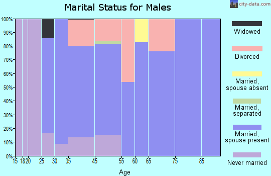 Zip code 31725 marital status for males