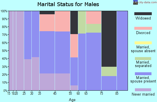 Zip code 31726 marital status for males