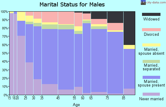 Zip code 31728 marital status