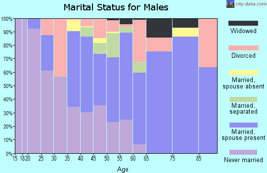 Zip code 31730 marital status for males