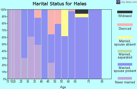 Zip code 31733 marital status for males
