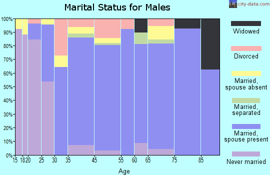 Zip code 31734 marital status for males
